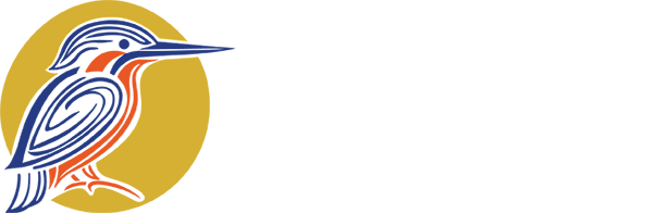 Cittura